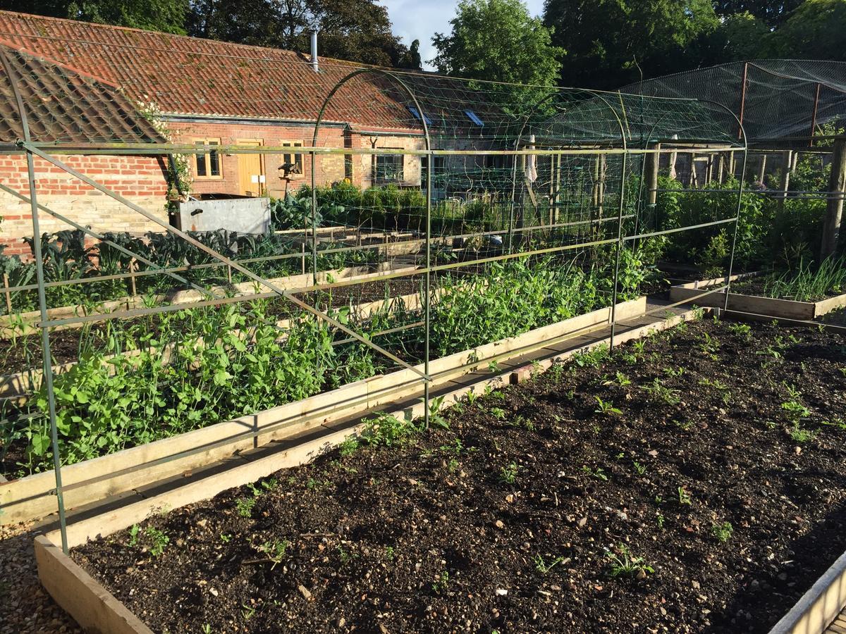 Chippenham Park Garden Rooms Zewnętrze zdjęcie